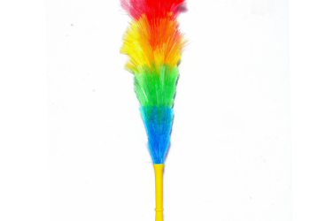 Feather Brush